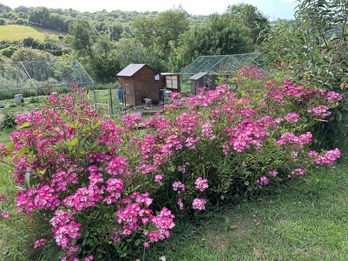 Keryanti Domaine De Lesleac'H Vila Le Ponthou Exterior foto